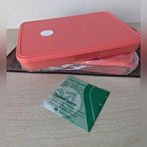 NWT Tupperware Freezer Mates LG Container